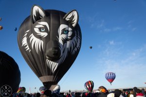 54220191012BalloonFiesta.jpg